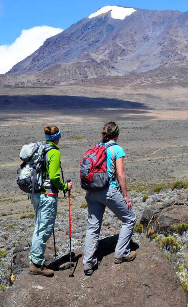 Toka Leya walking safari card